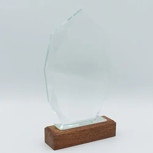 Hexagonal Glass Shield - simple